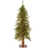 National Tree Company Artificial Slim Christmas Tree, Hickory Cedar, Green, Includes Stand, 3 Feet