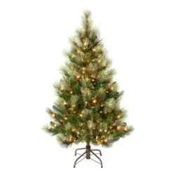 National Tree Company First Traditions Pre-Lit Charleston Pine Snowy Slim Christmas Tree, Clear Incandescent Lights, Plug In, 4.5 Ft