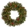 National Tree Company, Pre-Lit Artificial Christmas Wreath, Crestwood Spruce With Twinkly LED Lights, Plug In, 24 In