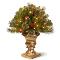 National Tree Company 24in Crestwood(R) Spruce Porch Bush With Clear Lights