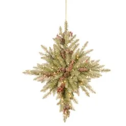 National Tree Company 32 In. Snowy Dunhill® Fir Bethlehem Star With Battery Operated LED Lights