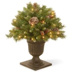 National Tree Company 24in Frosted Berry Porch Bush With Clear Lights