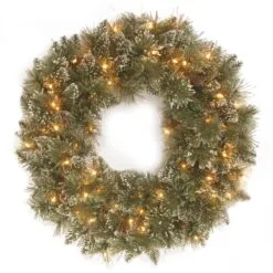 National Tree Company, Pre-Lit Artificial Christmas Wreath, Glittery Bristle Pine With Twinkly LED Lights, Plug In, 24 In