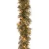 National Tree Company Pre Lit Artificial Garland, Glittery Bristle, Green, Frosted, Decorated With Frosted Pine Cones, Multifunctional Twinkling LED Lights, Plug In, Christmas Collection, 9 Feet