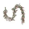 National Tree Company 6 Ft. HGTV Home Collection Pre-Lit Frosted Traditions Garland