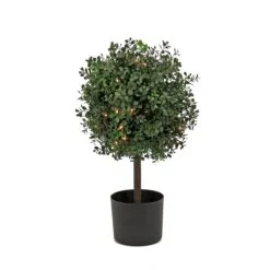 National Tree Company 2 Ft. Pre-Lit Boxwood Single Ball Topiary In Black Nursery Pot