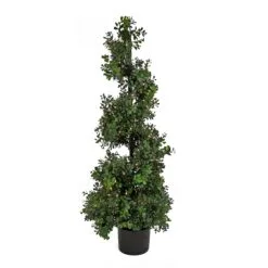 National Tree Company 4 Ft. Pre-Lit Boxwood Spiral Topiary In Black Nursery Pot