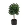 National Tree Company 2 Ft. Boxwood Single Ball Topiary With Multi-Function LED Lights