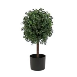National Tree Company 2 Ft. Boxwood Single Ball Topiary In Nursery Pot