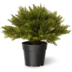 National Tree Company 15" Artificial Globe Juniper