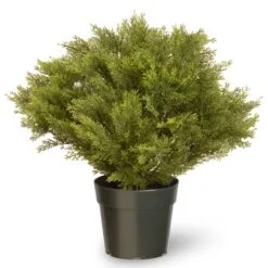 National Tree Company 28" Globe Juniper Tree