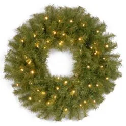 National Tree Company Pre-Lit Artificial Christmas Wreath, Green, Norwood Fir, Dual Color LED Lights, Christmas Collection, 24 Inches