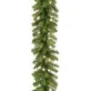 National Tree Company Pre Lit Artificial Garland, Norwood Fir, Green, Decorated With Multifunctional Twinkling LED Lights, Plug In, Christmas Collection, 9 Feet