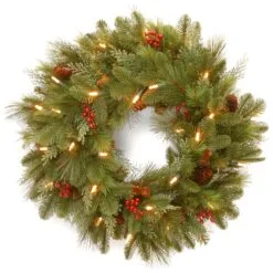 National Tree Company Pre-Lit Artificial Christmas Wreath, Green, Noelle, White Lights, Decorated With Pine Cones, Berry Clusters, Christmas Collection, 24 Inches