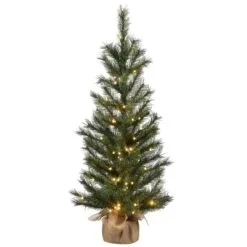 National Tree Company 4 Ft Frosted Ontario Pine Tree With Battery Operated Lights