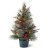 National Tree Company Pre-Lit Artificial Christmas Tree, Green, Colonial Fir, White LED Lights, Decorated With Berry Clusters, Pine Cones, Includes Pot Base, Battery Operated, 2 Feet