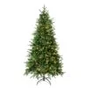 National Tree Company First Traditions Pre-Lit Duxbury Christmas Tree With Hinged Branches, Warm White LED Lights, Plug In, 6 Ft