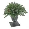 National Tree Company 24" Snowy Morgan Spruce Porch Bush With Twinkly™ LED Lights