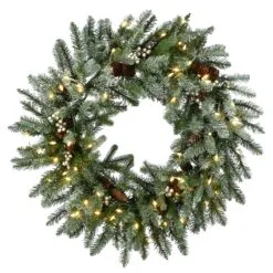 National Tree Company, Pre-Lit Artificial Christmas Wreath, Snowy Morgan Spruce With Twinkly LED Lights, Plug In, 30 In