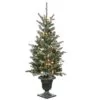 National Tree Company 4 Ft Snowy Morgan Spruce Entrance Tree With Clear Lights