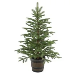 National Tree Company Artificial Entrance Christmas Tree, Norwegian Spruce, Green, White Lights, Includes Barrel Base, 4 Feet