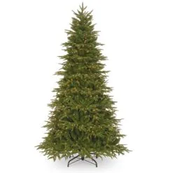 National Tree Company Pre-Lit 'Feel Real' Artificial Full Christmas Tree, Green, Northern Frasier Fir, White Lights, Includes Stand, 6.5 Feet