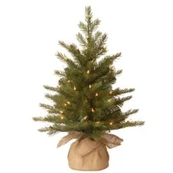National Tree Company Pre-Lit 'Feel Real' Artificial Mini Christmas Tree, Green, Nordic Spruce, White Lights, Includes Burlap Bag Base, 2 Feet