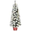 National Tree Company Pre-Lit Artificial Christmas Entrance Tree, Snowy Pogue Pine, With Warm White LED Lights, Plug In, 5 Ft