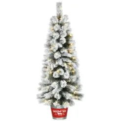 National Tree Company Pre-Lit Artificial Christmas Entrance Tree, Snowy Pogue Pine, With Warm White LED Lights, Plug In, 5 Ft