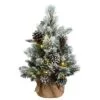 National Tree Company 2 Ft Snowy Redmond Pine With Battery Operated LED Lights
