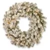 National Tree Company, Pre-Lit Artificial Christmas Wreath, Snowy Sheffield Spruce With Twinkly LED Lights, Plug In, 30 In