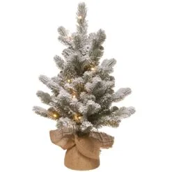 National Tree Company Pre-Lit Artificial Christmas Tree, Green, Snowy Sheffield Spruce, White LED Lights, Includes Cloth Bag Base, Battery Operated, 24 Inches