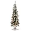 National Tree Company 4 Ft. Snowy Downswept Forestree With Clear Lights