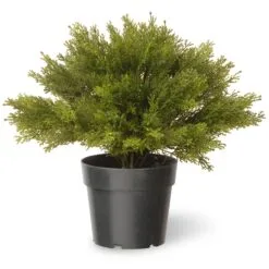National Tree Company 15" Globe Cedar Tree