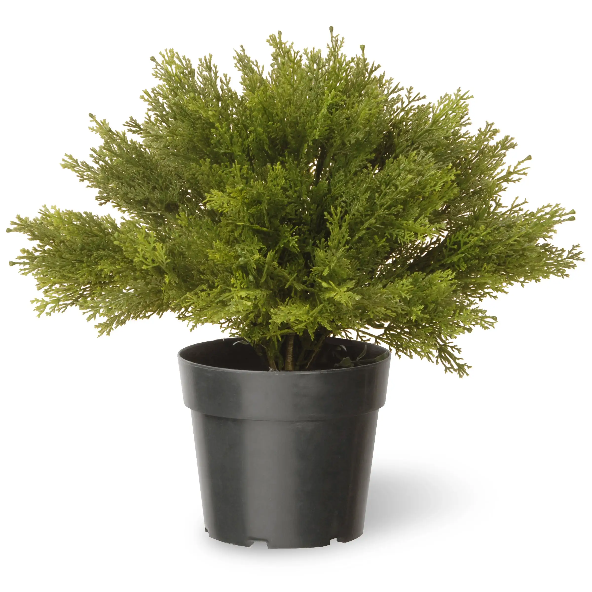 National Tree Company 15" Globe Cedar Tree