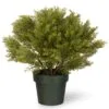 National Tree Company 22" Globe Cedar Tree With Dark Green Round Growers Pot
