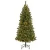 National Tree Company Pre-Lit Artificial Full Christmas Tree, Green, Canadian Fir Grande, White Lights, Includes Stand, 7 Feet