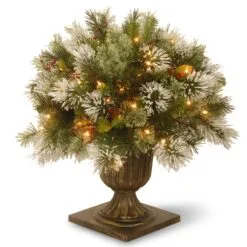 National Tree Company 24" Wintry Pine(R) Porch Bush With Clear Lights