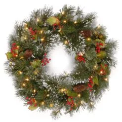 National Tree Company Pre-Lit Artificial Christmas Wreath, Green, Wintry Pine, White Lights, Decorated With Pine Cones, Berry Clusters, Frosted Branches, Christmas Collection, 24 Inches